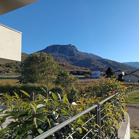Appartamenti Moderni, Luminosi E Tranquilli Con Parcheggio Privato - Agritur La Tenuta Trydent Zewnętrze zdjęcie