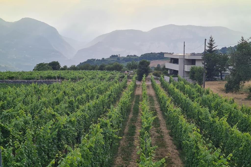 Appartamenti Moderni, Luminosi E Tranquilli Con Parcheggio Privato - Agritur La Tenuta Trydent Zewnętrze zdjęcie