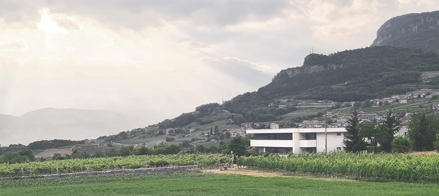Appartamenti Moderni, Luminosi E Tranquilli Con Parcheggio Privato - Agritur La Tenuta Trydent Zewnętrze zdjęcie