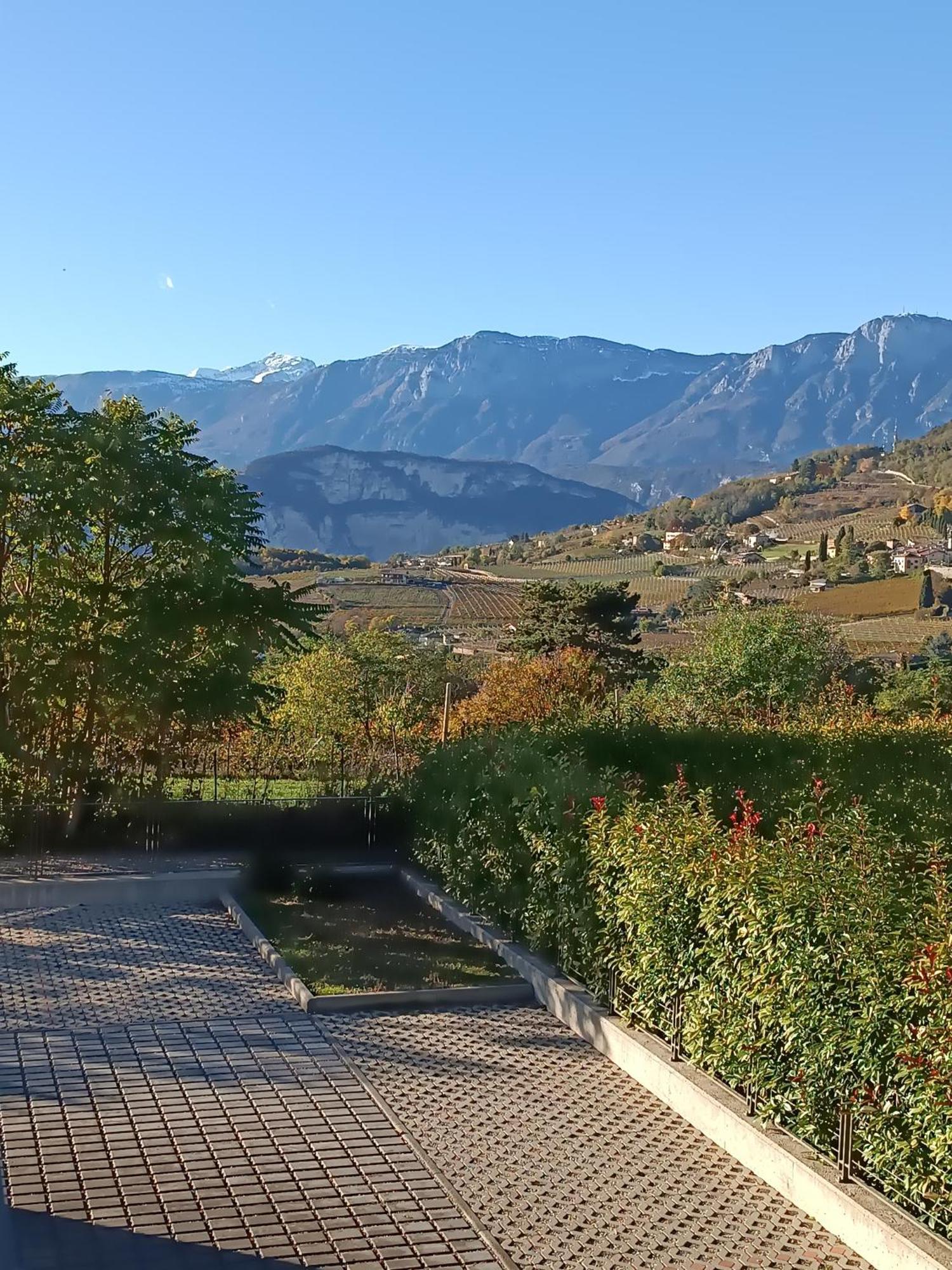 Appartamenti Moderni, Luminosi E Tranquilli Con Parcheggio Privato - Agritur La Tenuta Trydent Zewnętrze zdjęcie