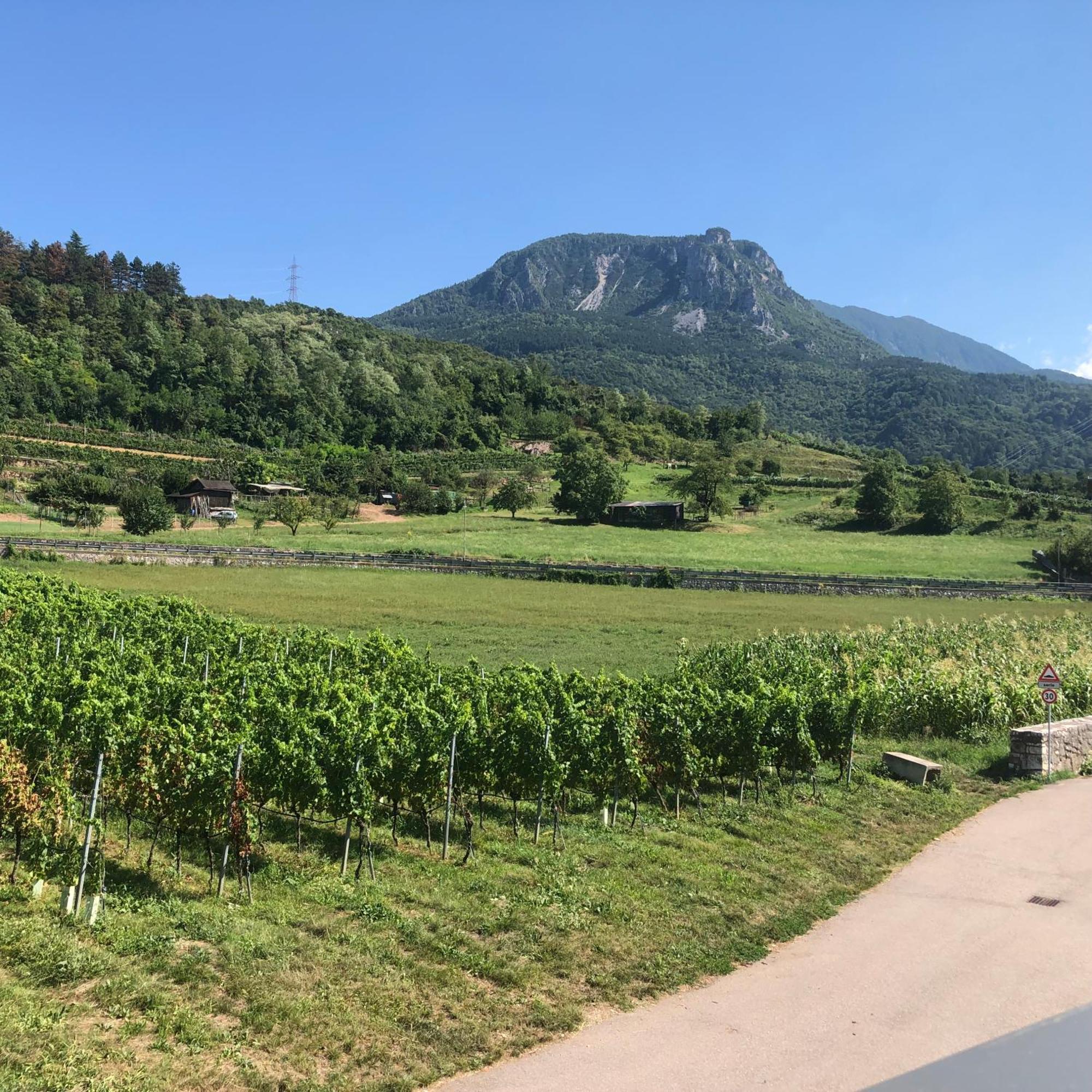 Appartamenti Moderni, Luminosi E Tranquilli Con Parcheggio Privato - Agritur La Tenuta Trydent Zewnętrze zdjęcie